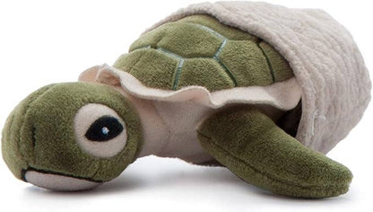5" (12cm) Hatchling Baby Turtle Sea Life