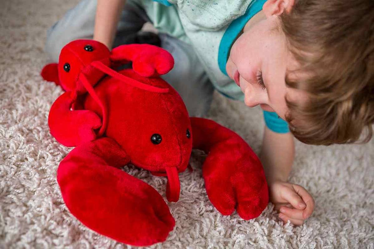 Lobbie Lobster - Large
