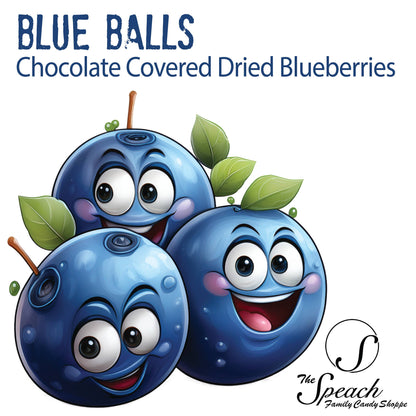 Blue Balls - Chocolate Covered Dried Blueberries
