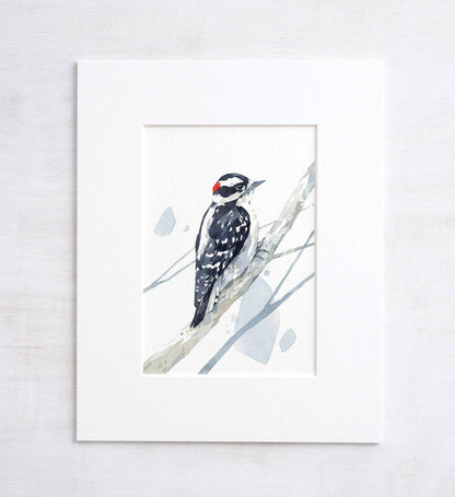 Downy Woodpecker Watercolor Print