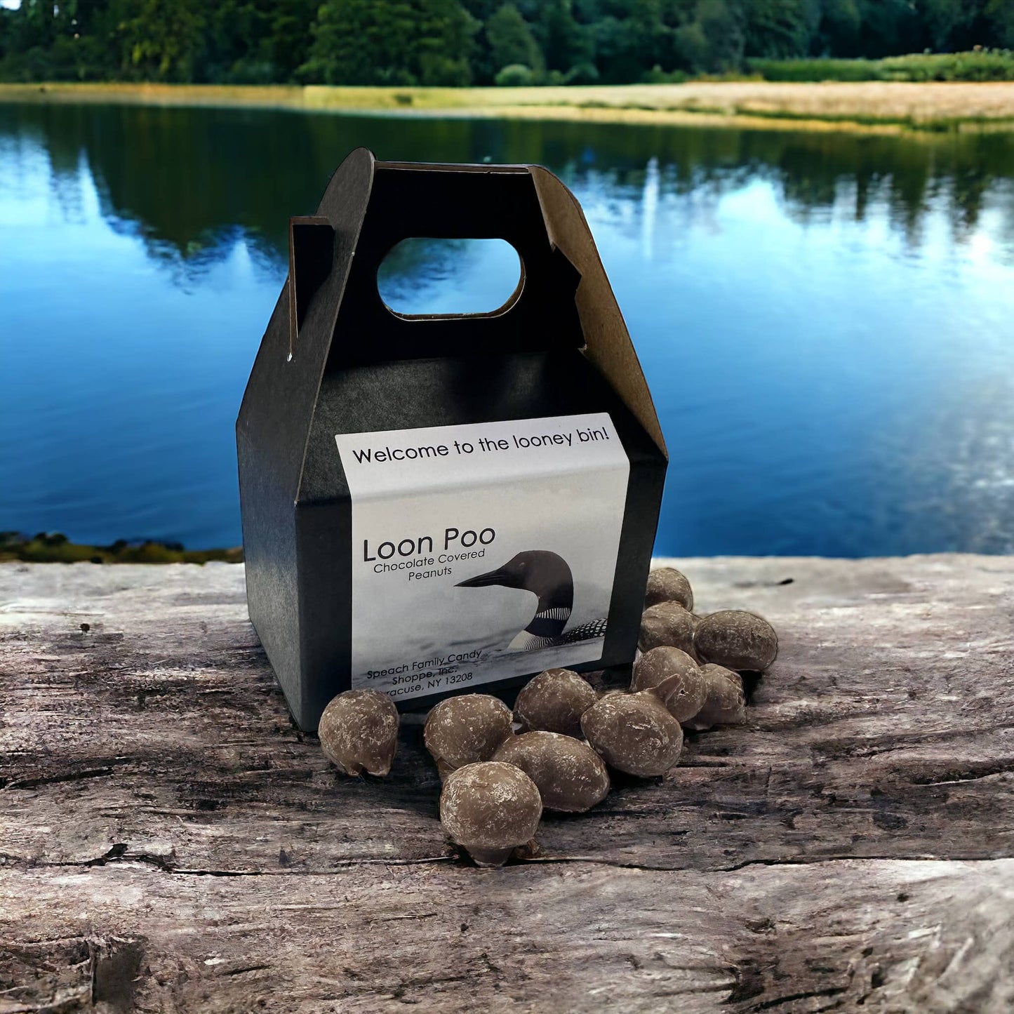 Loon Poo - Dark Chocolate Covered Peanuts