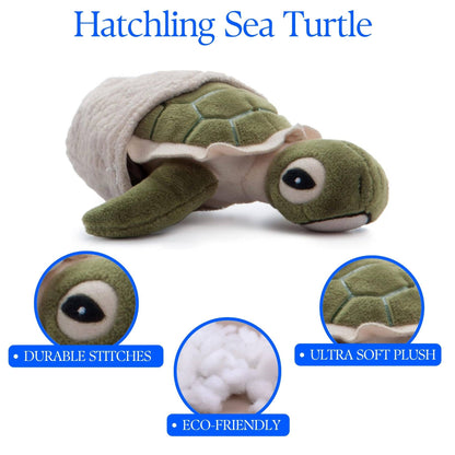 5" (12cm) Hatchling Baby Turtle Sea Life