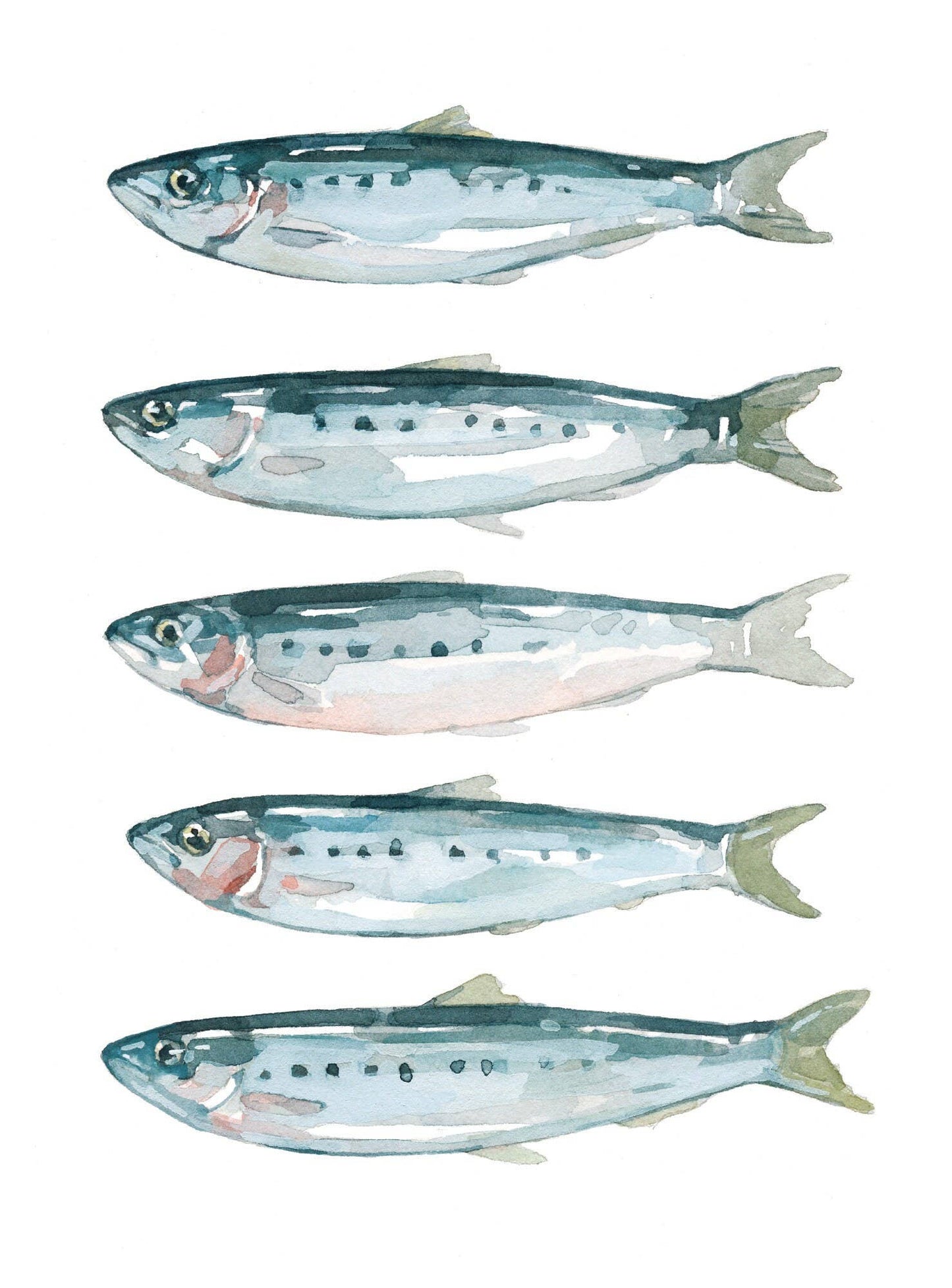 Sardines Fish Watercolor Art Print