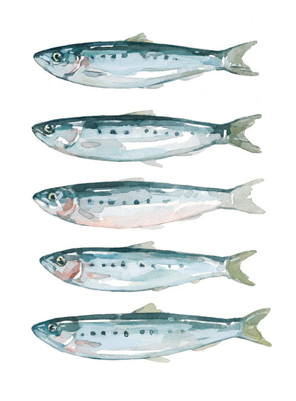 Sardines Fish Watercolor Art Print