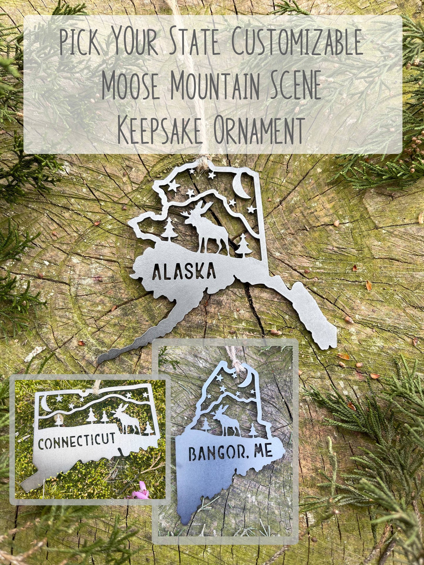 Maine Mountain Moose Scene Raw Steel Ornament