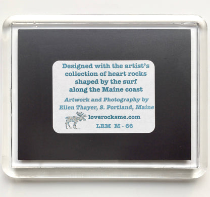 Wildlife magnets  | Moose magnets