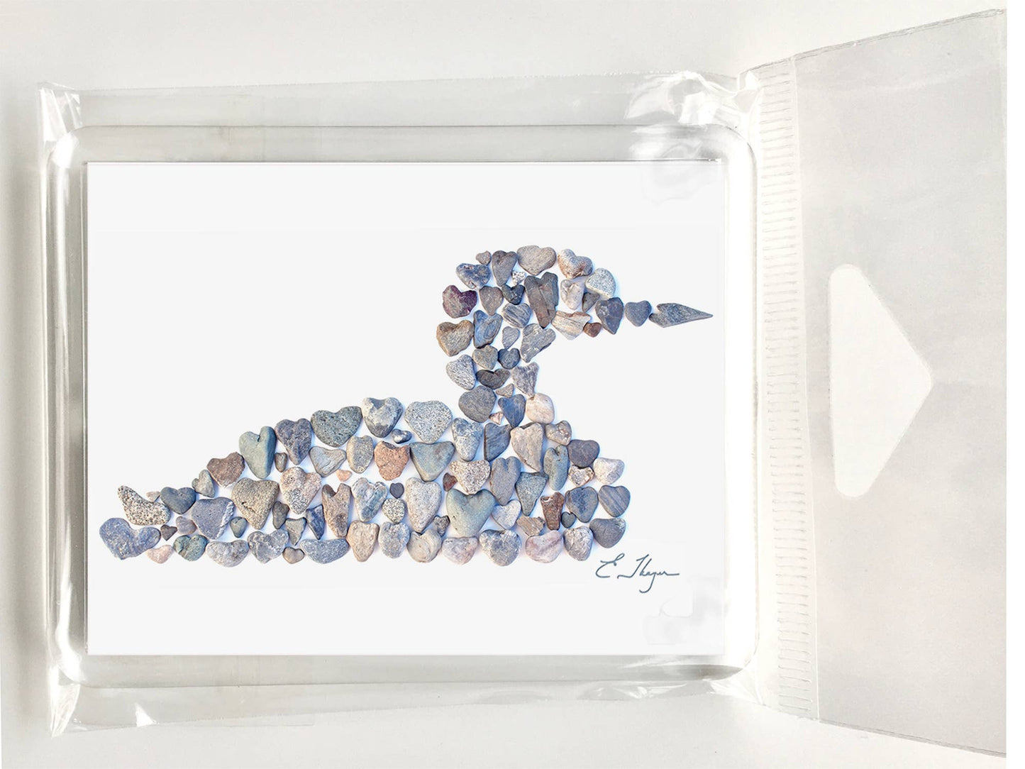 Wildlife magnets | Loon magnets