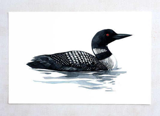 Common Loon Art Print Bird Watercolor Painting