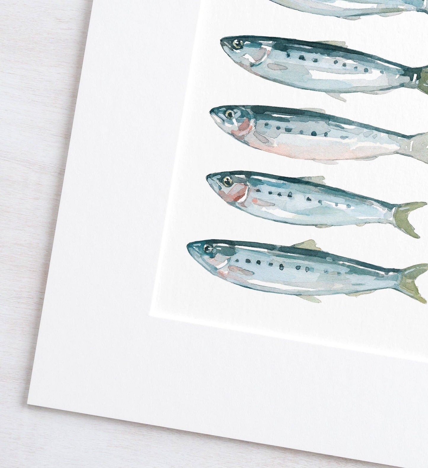 Sardines Fish Watercolor Art Print