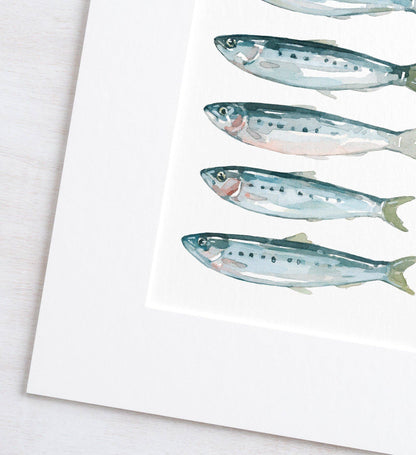 Sardines Fish Watercolor Art Print
