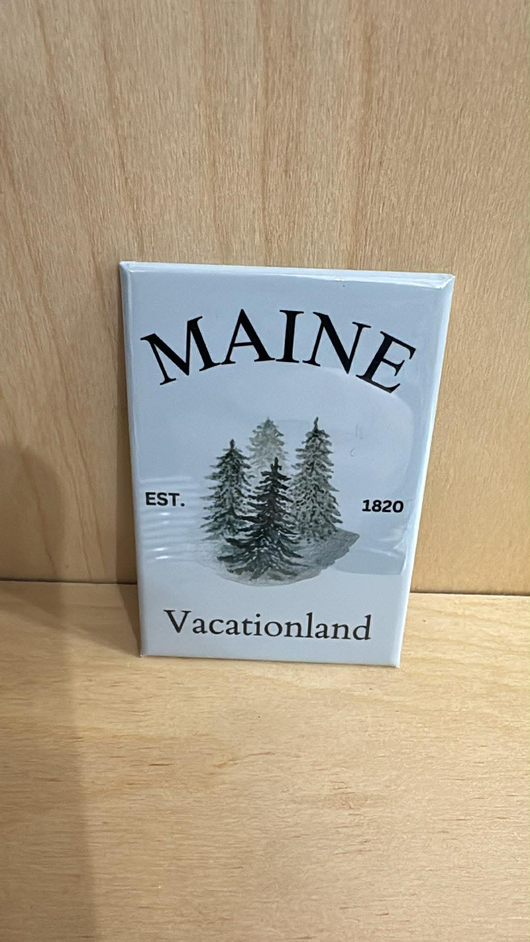 Maine Variety Rectangle Magnets