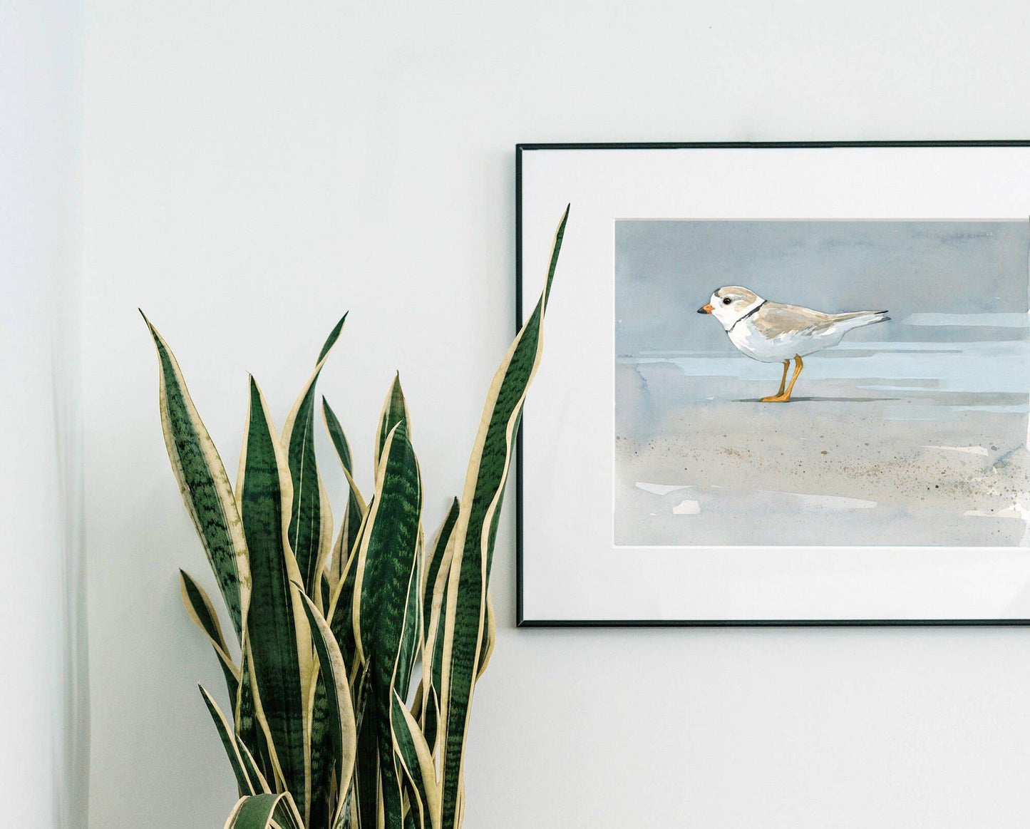 Piping Plover Beach Art Print, Coastal Décor