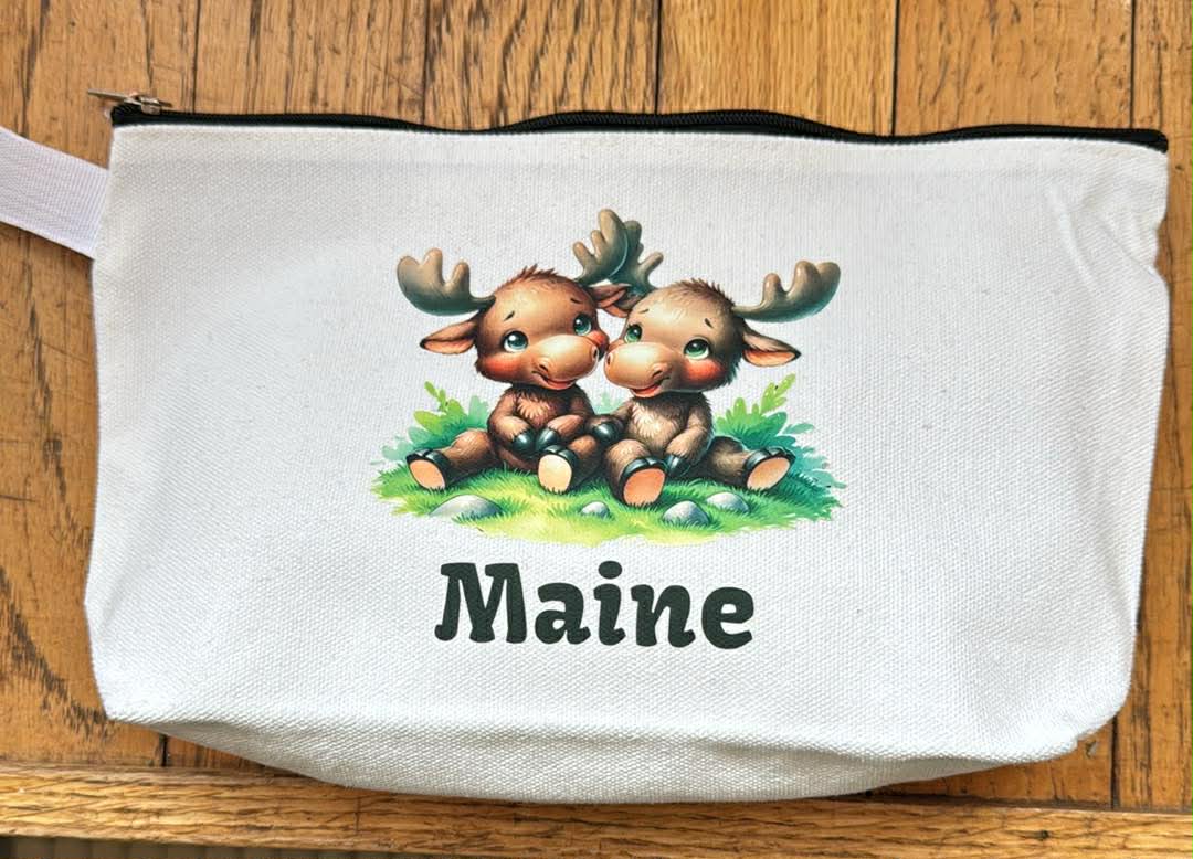 Small Canvas Pouch Make up Bags