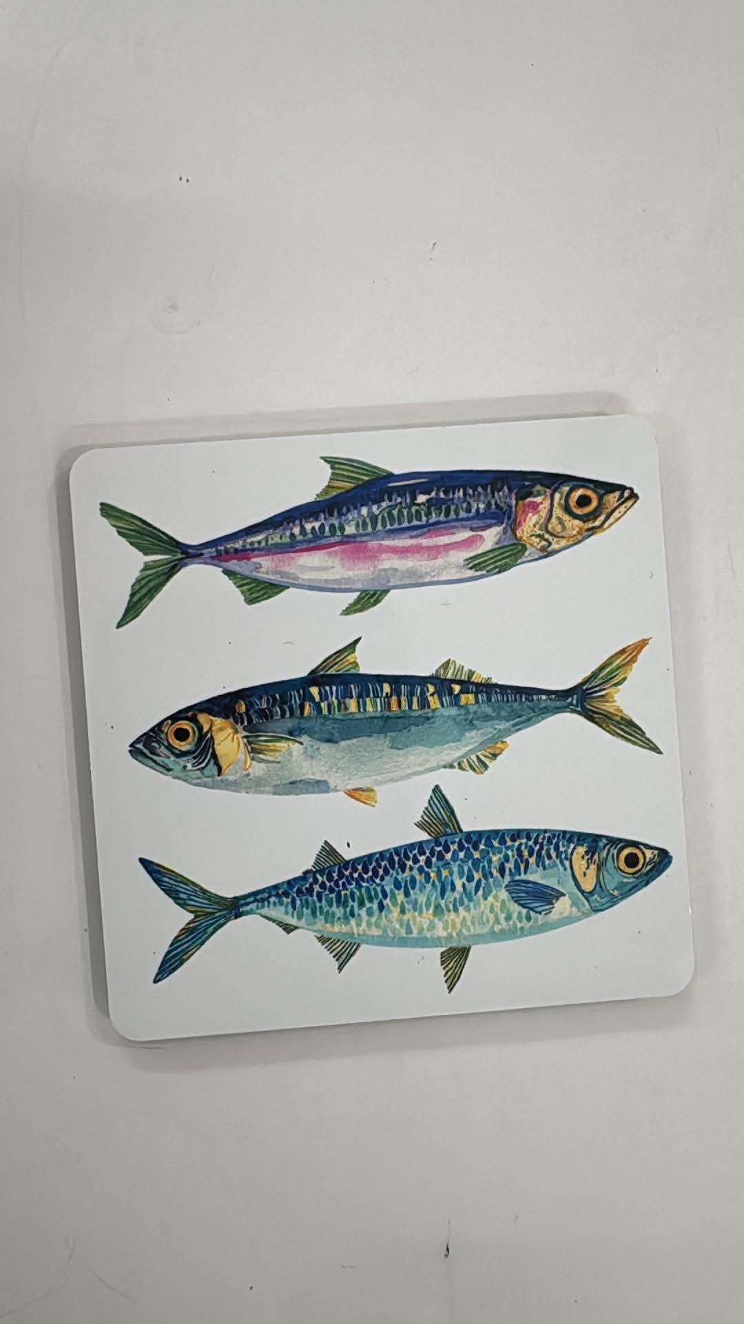 Maine Themed Magnets