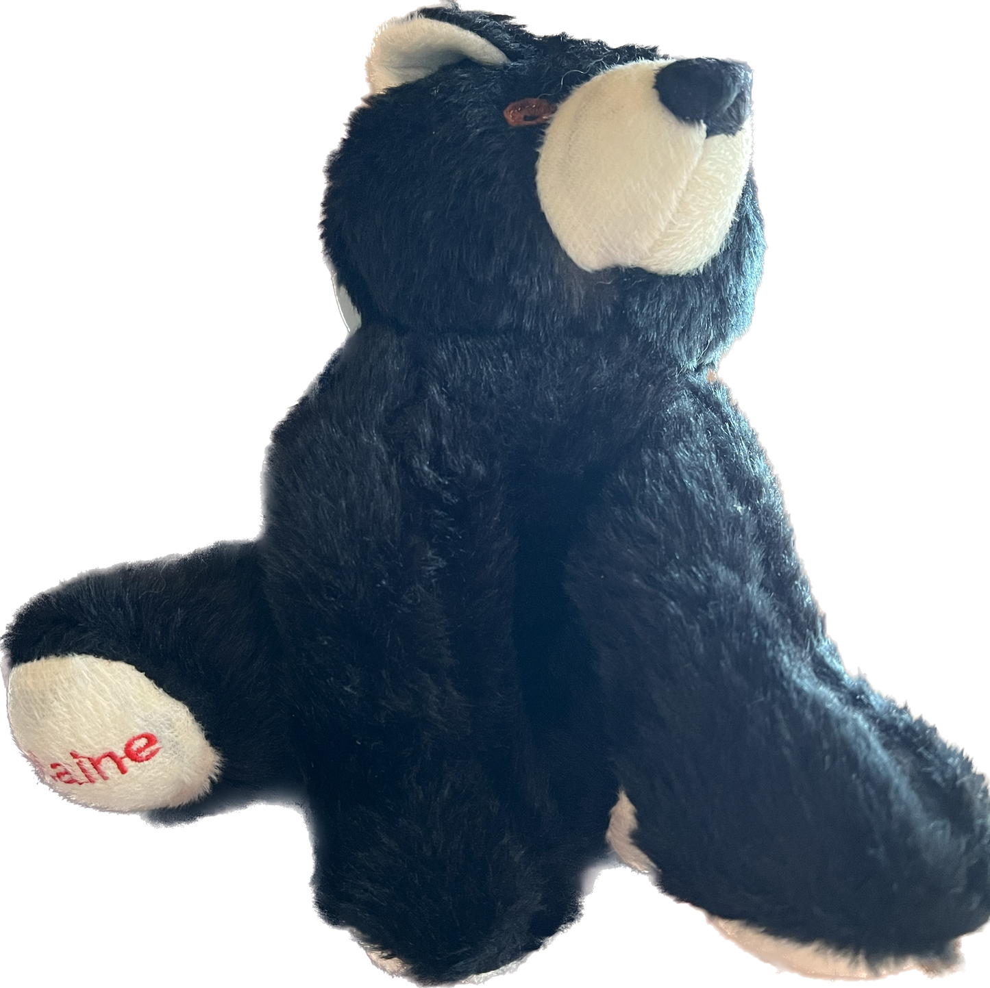 MAINE BEAR Plush Squeaky Dog Toy