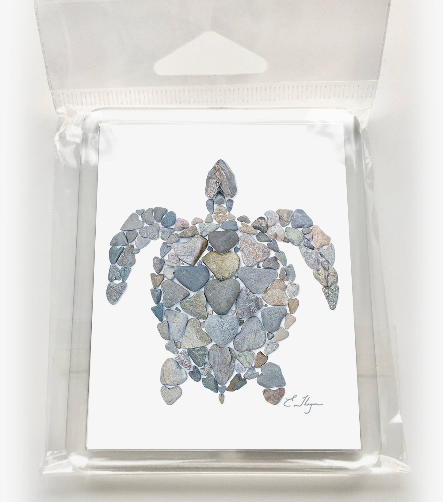 Coastal magnets | Turtle magnets