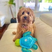 Clean Earth Recycled Plush Dog Toys - 100% Sustainable