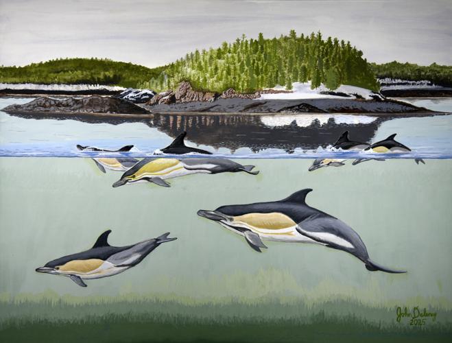 John Delaney-Common Dolphins Greeting Card