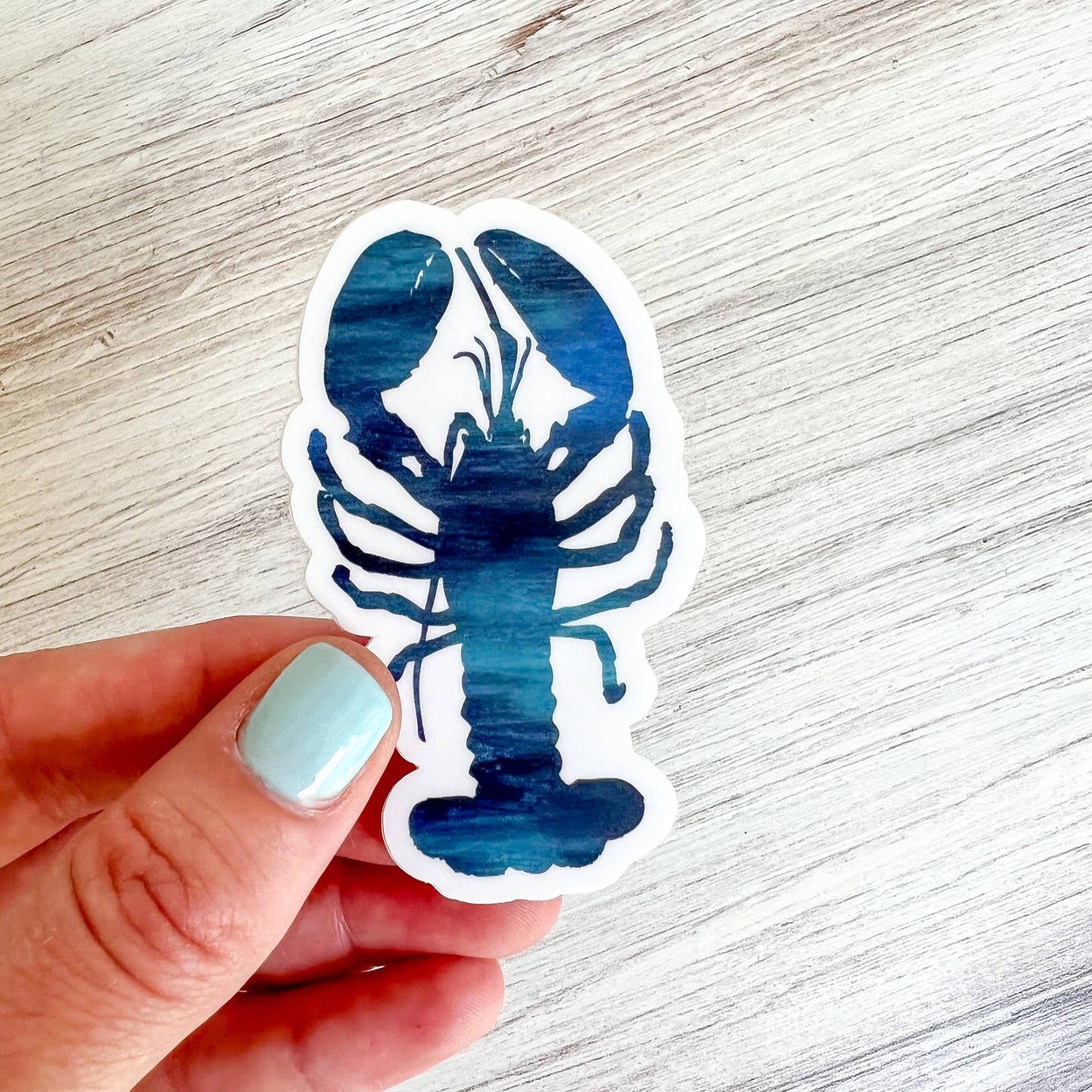 Gert & Co Blue Lobster Sticker, 1.75" x 3"